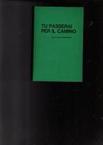 Tu Passerai Per Il Camino Vita E Morte A Mauthausen