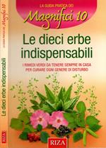 Le 10 erbe indispensabili. I rimedi verdi da tenere sempre in casa per curare ogni genere di disturbo