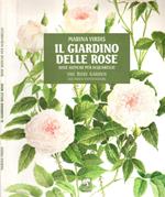 Il giardino delle rose - The rose garden / Rose antiche per acquarello