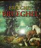 Breughel - Brueghel - copertina