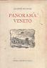 Panorama veneto, tra Brennero e Carnaro - Giuseppe Silvestri - copertina