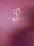 Salvator Rosa. L'Opera Grafica - copertina