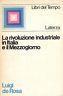 La rivoluzione industriale in Italia e il Mezzogiorno