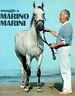 Omaggio a Marino Marini