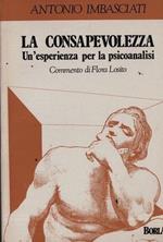 La consapevolezza. Un'esperienza per la psicoanalisi