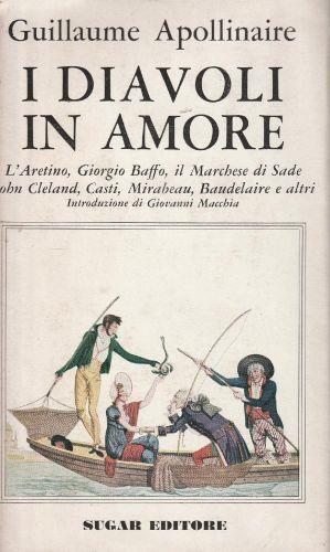 I diavoli in amore - copertina