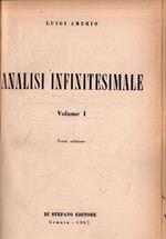 Analisi Infinitesimale I e II