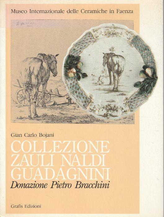 Collezione Zauli Naldi Guadagnini - Donazione Pietro Bracchini - Gian Carlo Bojani - copertina