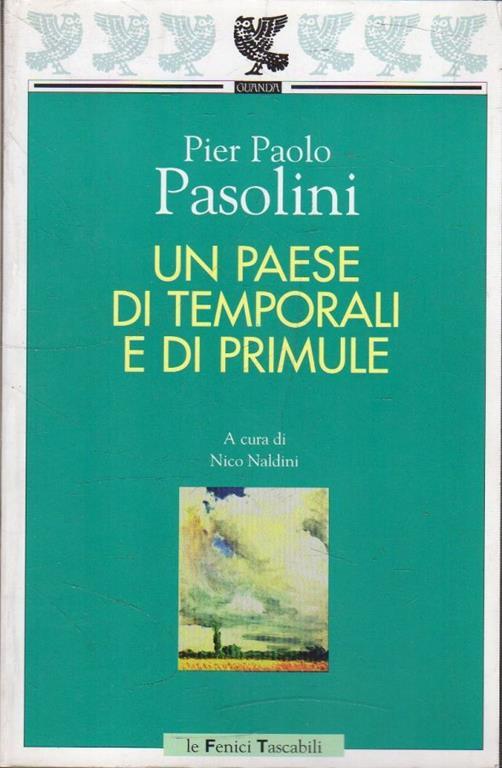 Un paese di temporali e di primule - copertina