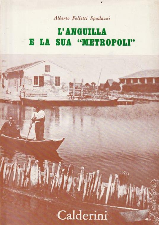 L' anguilla e la sua "metropoli" - copertina