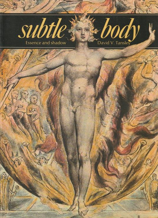 Subtle body : essence and shadow - David Tansley - copertina