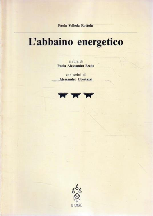 L' abbaino energetico - Paola Velleda Rottola - copertina