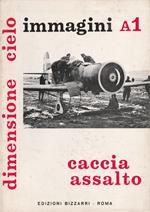 Caccia assalto - Dimensione cielo: aerei italiani nella 2° guerra mondiale - immagini A1