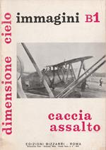 Caccia assalto - Dimensione cielo: aerei italiani nella 2° guerra mondiale - immagini B1
