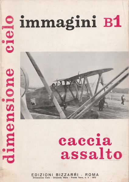 Caccia assalto - Dimensione cielo: aerei italiani nella 2° guerra mondiale - immagini B1 - copertina