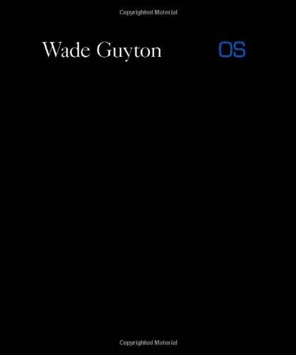 Wade Guyton OS - copertina