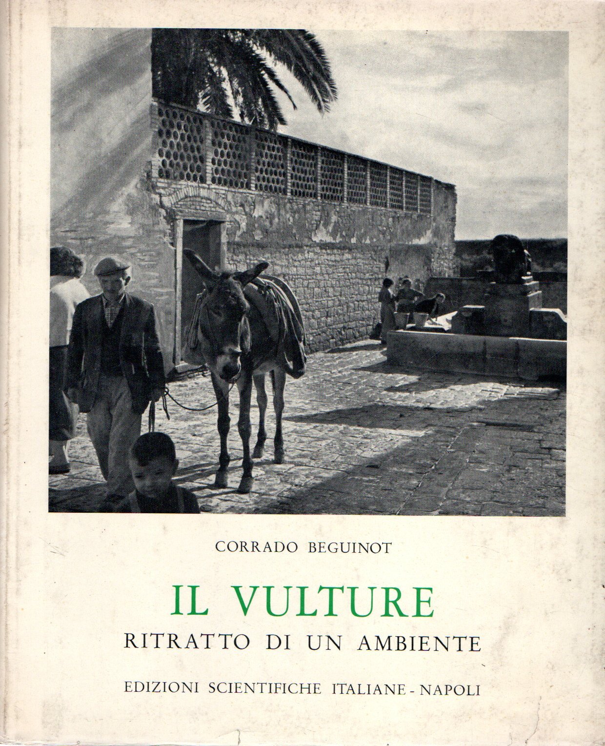 Zefiro libri