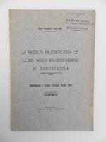 La raccolta paleontologica del Museo Mellerio-Rosmini di Domodossola. (Determinazione e catalogo sistematico secondo Zittel)