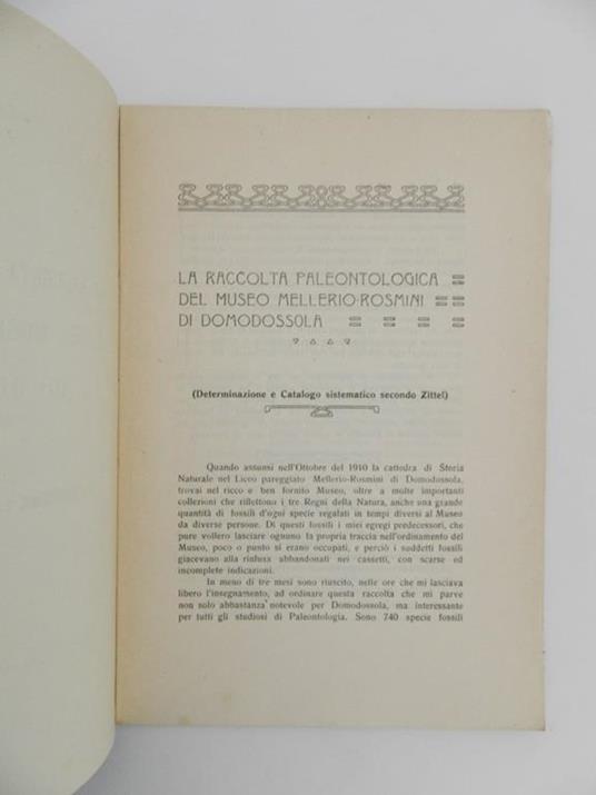 La raccolta paleontologica del Museo Mellerio-Rosmini di Domodossola. (Determinazione e catalogo sistematico secondo Zittel) - Michele Craveri - 2