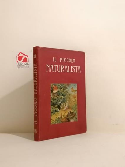 Il piccolo naturalista : prontuario in 60 tavole cromo-litografiche e testo esplicativo. La Formica - copertina