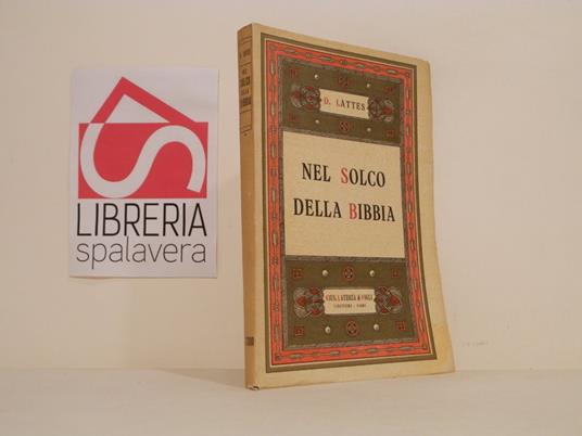 Nel solco della Bibbia - Dante Lattes - copertina