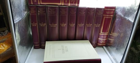 il vocabolario treccani 15 volumi sinonimi annali visuale neologismi  grammatica theasurus enciclopedia - Libro Usato - ND - | IBS