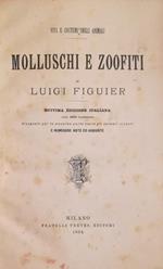 Molluschi E Zoofiti