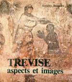 Trevise Aspects Et Images