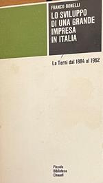 Lo Sviluppo Di Una Grande Impresa In Italia. La Terni Dal 1884 Al 1962