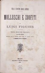 Vita E Costumi Degli Animali. Molluschi E Zoofiti