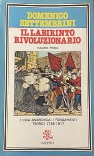 Il Labirinto Rivoluzionario - Domenico Settembrini - copertina