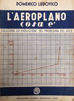 L' Aeroplano Cosa E'. Soluzione Ed Evoluzione Del Problema Del Volo