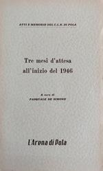 Tre Mesi D'Attesa All'Inizio Del 1946