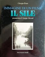 Immagine Di Un Fiume. Il Sile