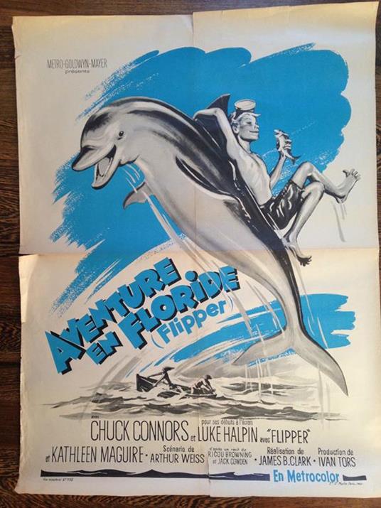 Poster del film Aventure en Floride Flipper 1963 - P186 - copertina