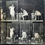 Eadweard Muybridge La locomozione animale Catalogo Firenze Torino 1979/80