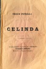 Libretto d'opera Errico Petrella D. Bolognese 