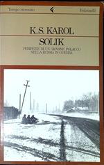 Solik : peripezie di un giovane polacco nella Russia in guerra