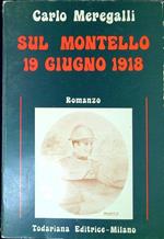 Sul Montello, 19 giugno 1918 : romanzo