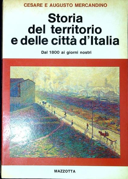 Storia del territorio e delle città d'Italia : dal 1800 ai giorni nostri - Cesare Mercandino - copertina