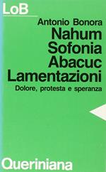 Nahum, Sofonia, Abacuc, Lamentazioni. Dolore, protesta e speranza