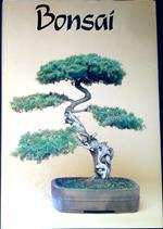 Bonsai