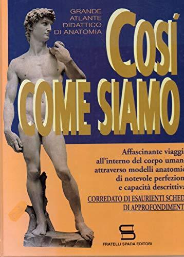 Grande atlante didattico di anatomia : così come siamo - copertina