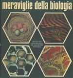 Le meraviglie della biologia