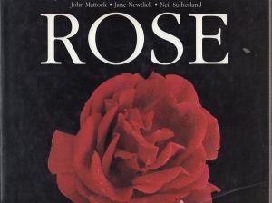 Rose - copertina