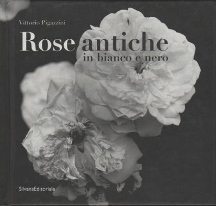 Rose antiche in bianco e nero - Vittorio Pigazzini - copertina