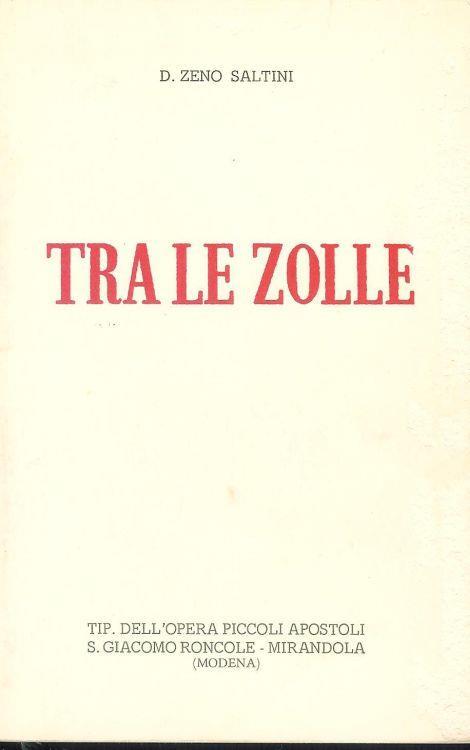 Tra le zolle - copertina