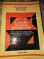 L' esordio del nuovo processo civile. Prime soluzioni e prime prassi nel tormentato avvio della riforma tra «Novella» e «Novellina»