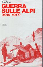 Guerra sulle Alpi ( 1915-1917)