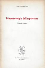 Fenomenologia dell'esperienza : saggio su Husserl